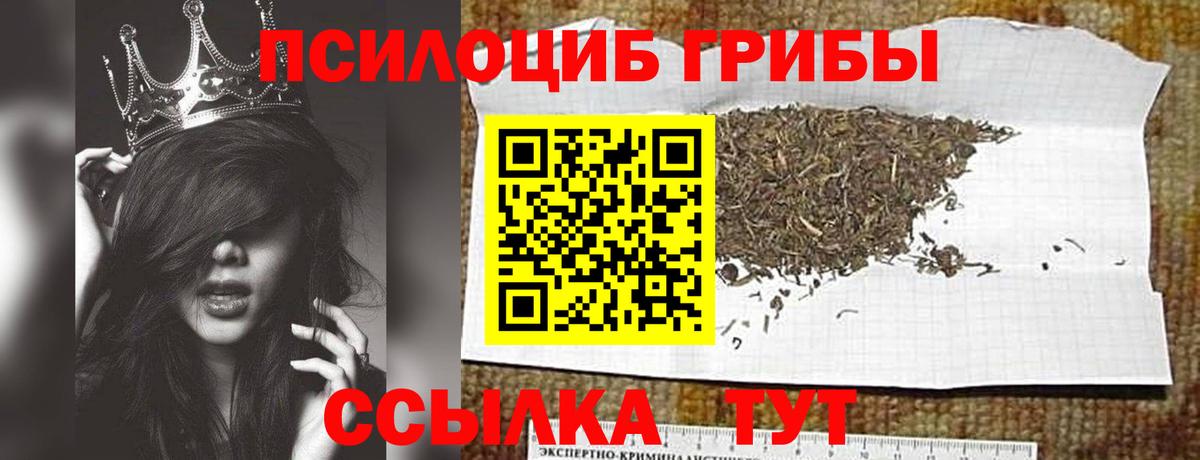 Королёв  Псилоцибиновые грибы ЛСД  Вход с VPN 